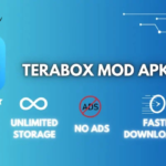 Download TeraBox MOD APK