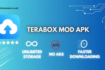 Download TeraBox MOD APK